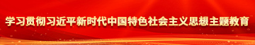 美女厕所掰开阴户日B学习贯彻习近平新时代中国特色社会主义思想主题教育